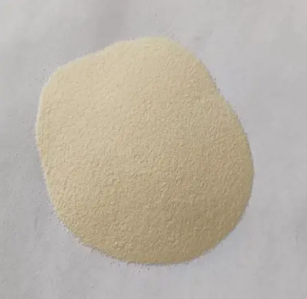 photo of protein